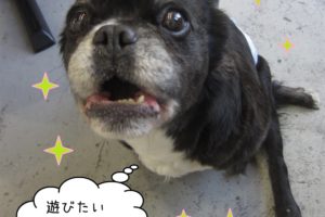 施術後ミックス