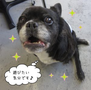 施術後ミックス