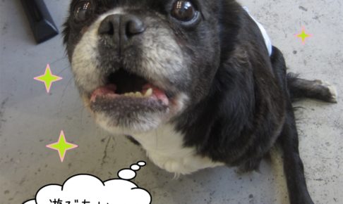 施術後ミックス