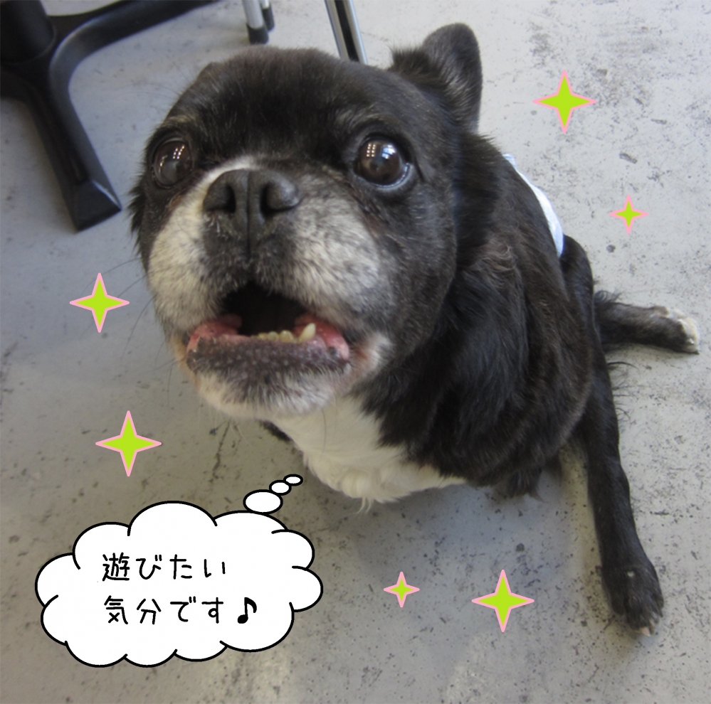 施術後ミックス