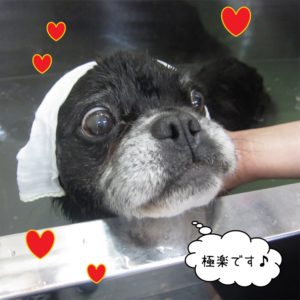 スパ中ミックス