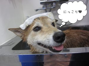 スパ中ミックス