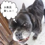 わくわくミックス