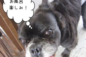 わくわくミックス