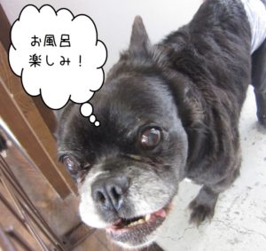 わくわくミックス