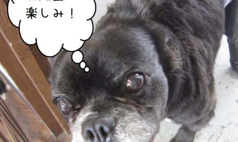 わくわくミックス