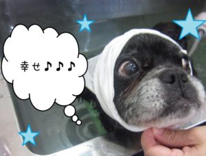 スパ中ミックス