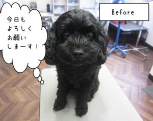 カット前ミックス