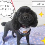 スマートミックス