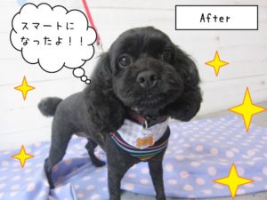 スマートミックス