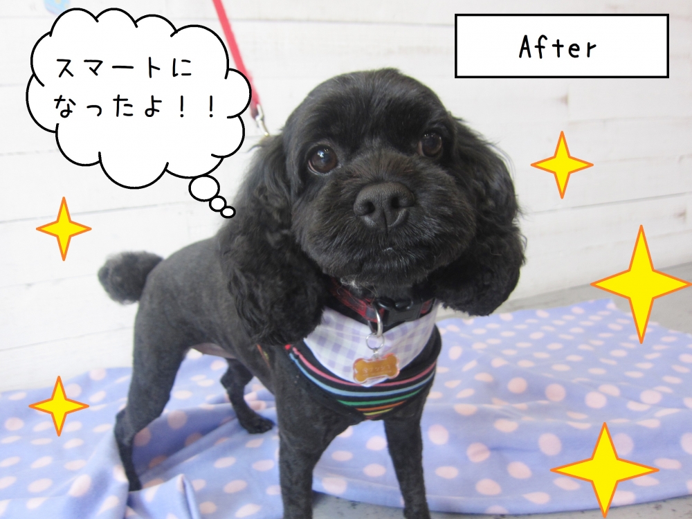 スマートミックス