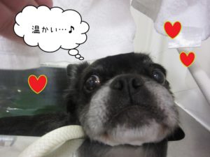 スパ中ミックス