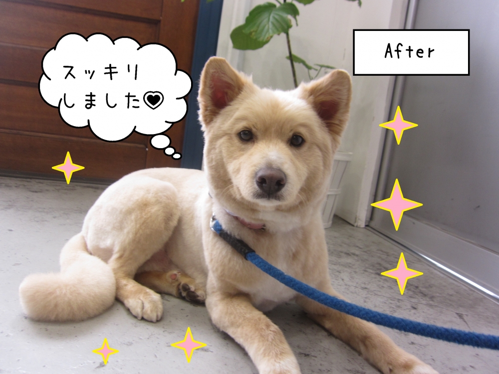 すっきりミックス