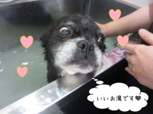 スパ中ミックス