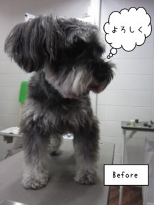 カット前Mシュナ