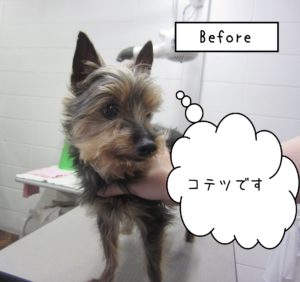 よろしくミックス