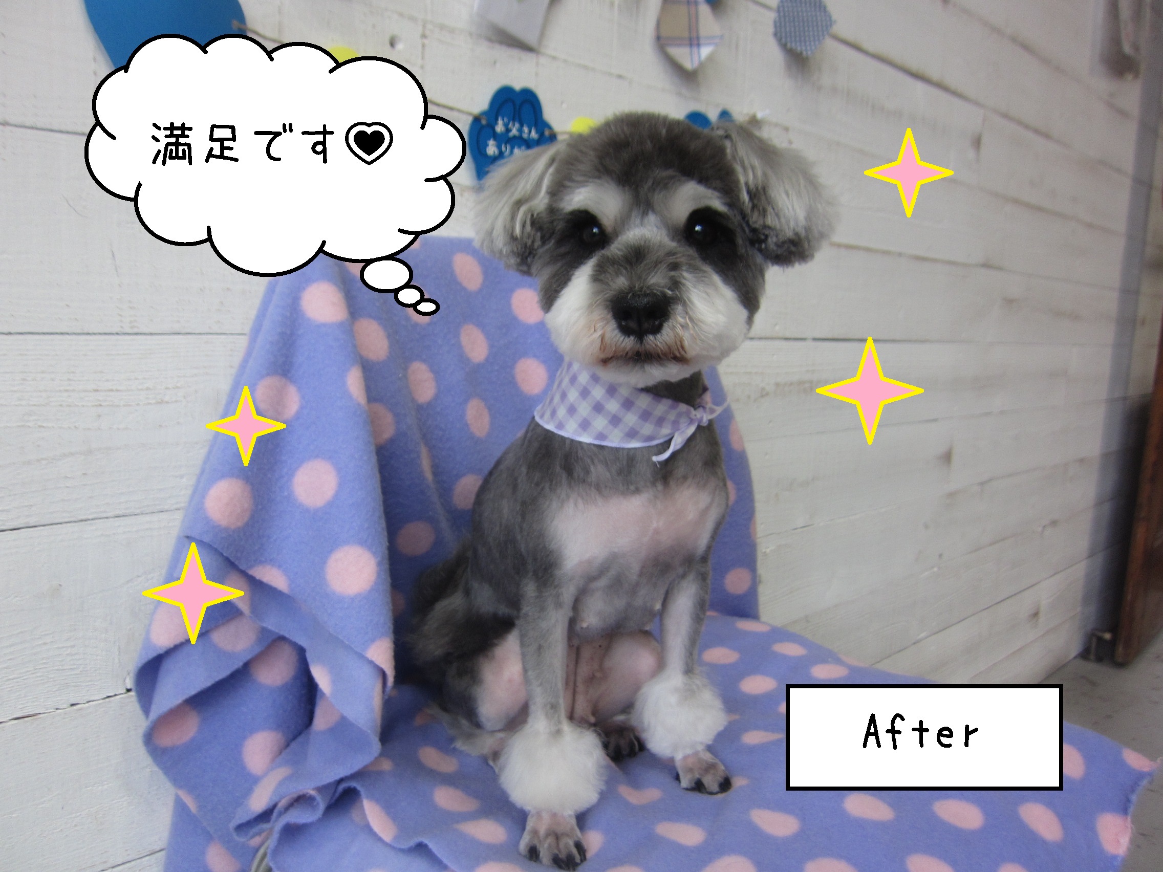 仕上がりMシュナ