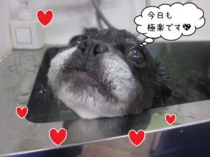 お風呂ミックス