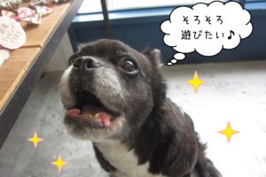 仕上がりミックス