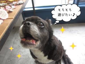 仕上がりミックス