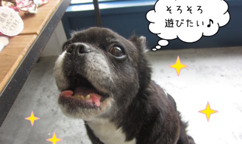 仕上がりミックス