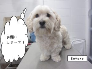 よろしくミックス