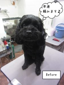 よろしくミックス