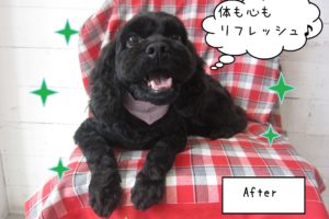 仕上がりミックス