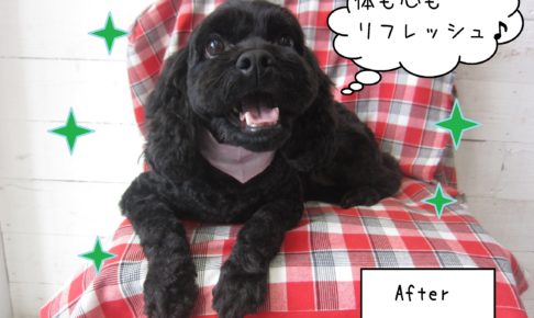 仕上がりミックス