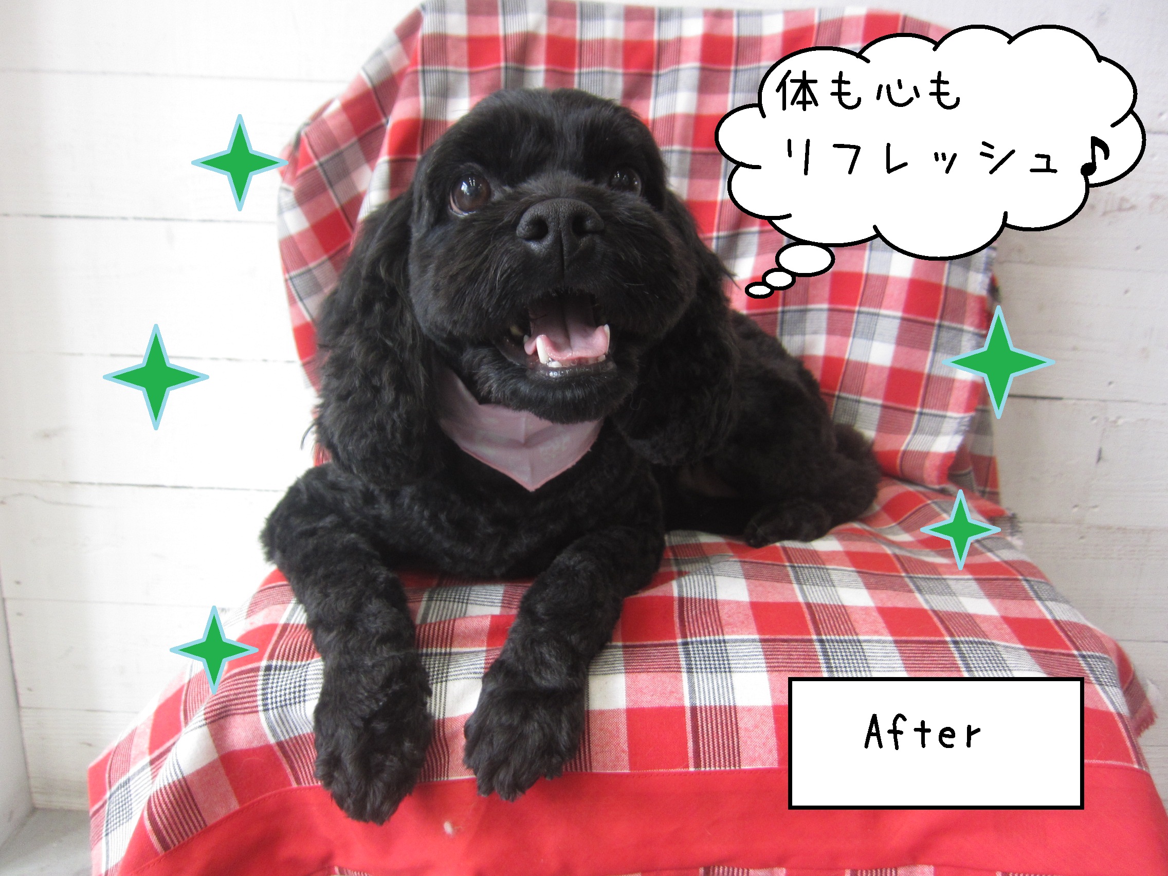 仕上がりミックス