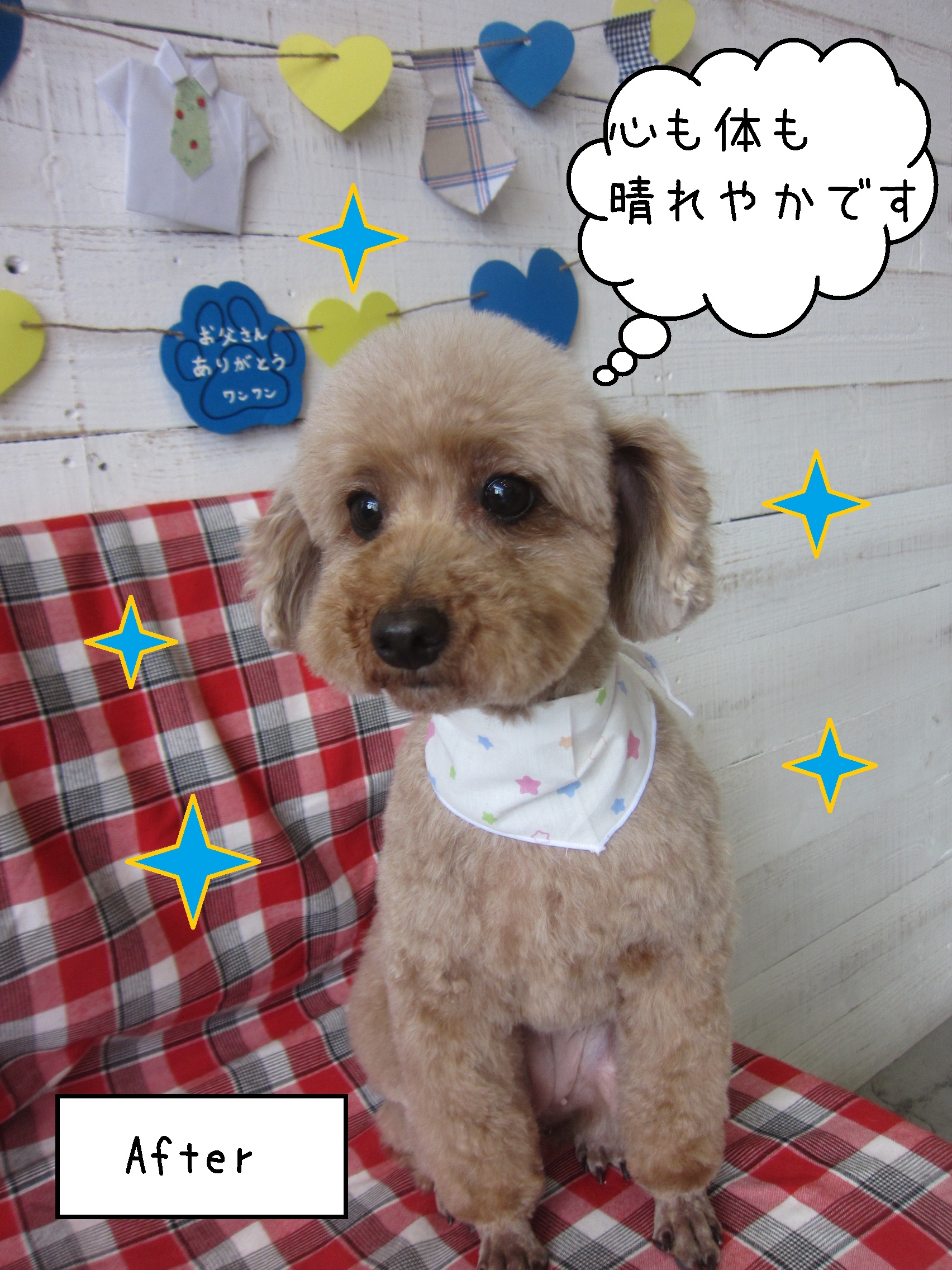 仕上がりトイプー