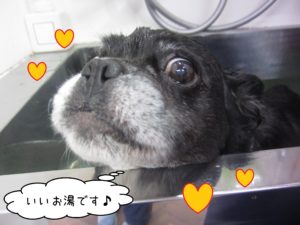 お風呂ミックス