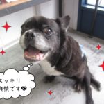 仕上がりミックス