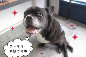 仕上がりミックス