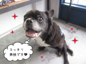 仕上がりミックス