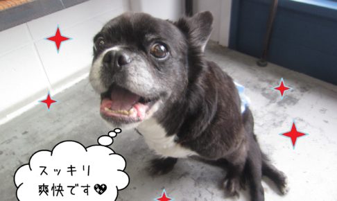 仕上がりミックス