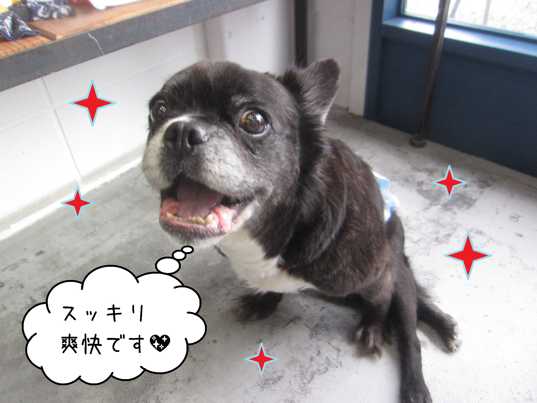 仕上がりミックス