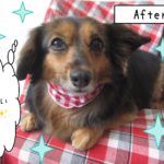 仕上がりミックス