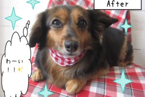 仕上がりミックス