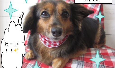 仕上がりミックス