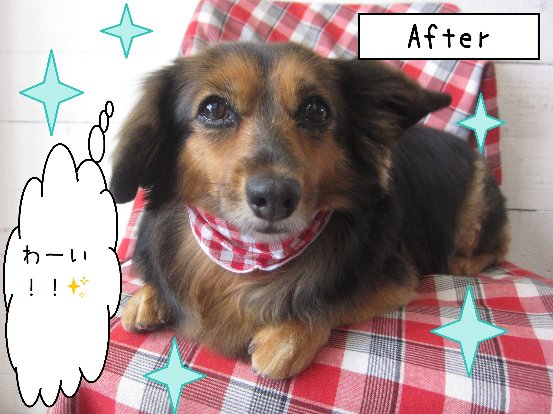 仕上がりミックス