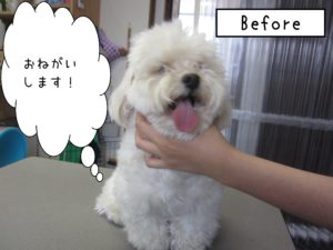 よろしくミックス