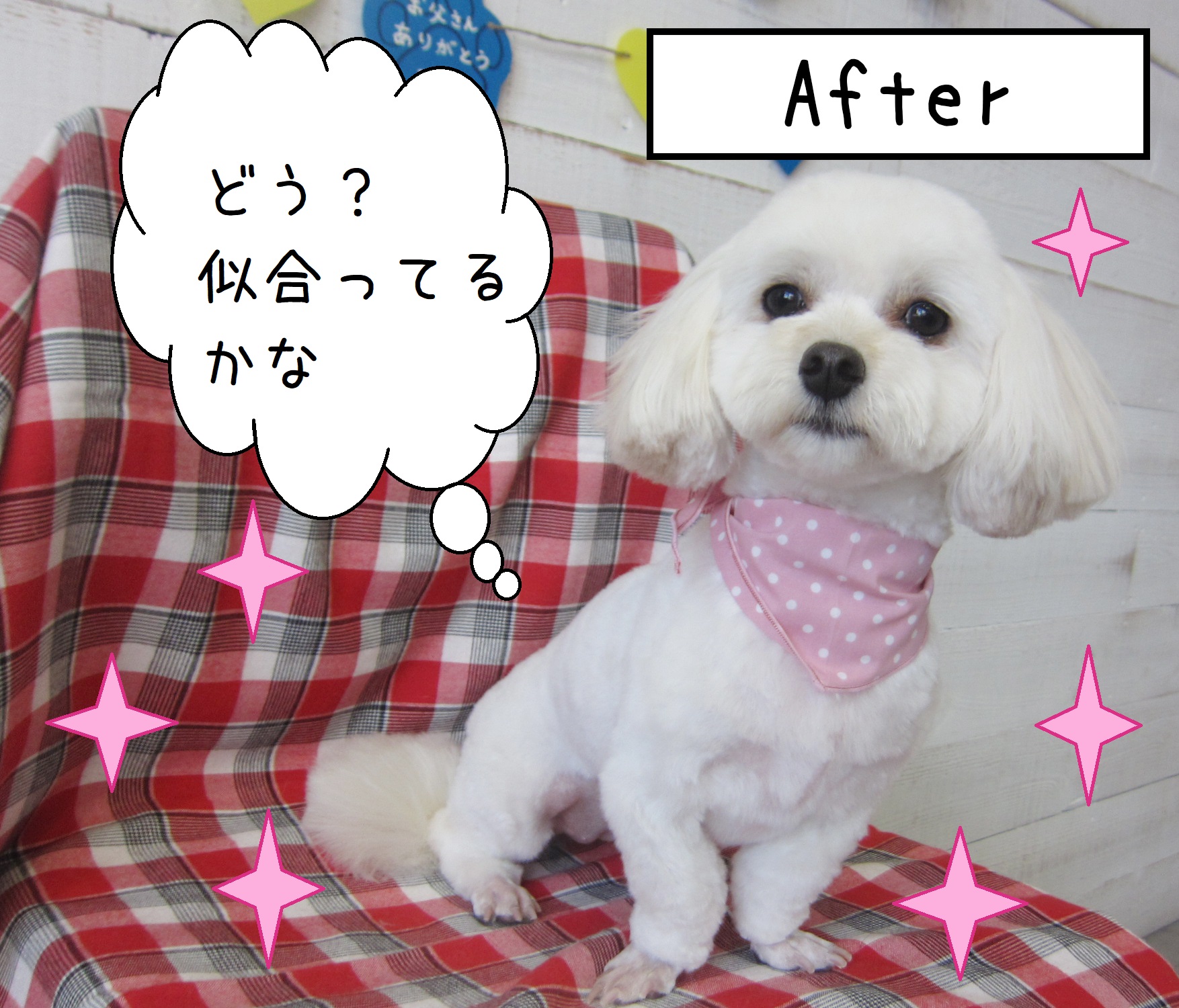 仕上がりミックス