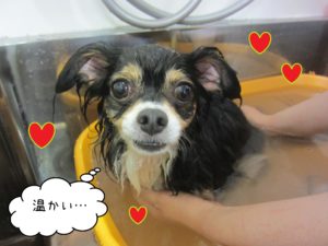 お風呂ミックス