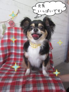 仕上がりミックス