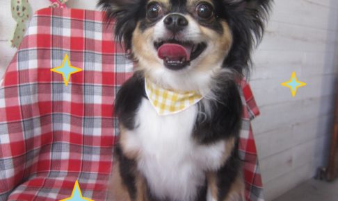 仕上がりミックス