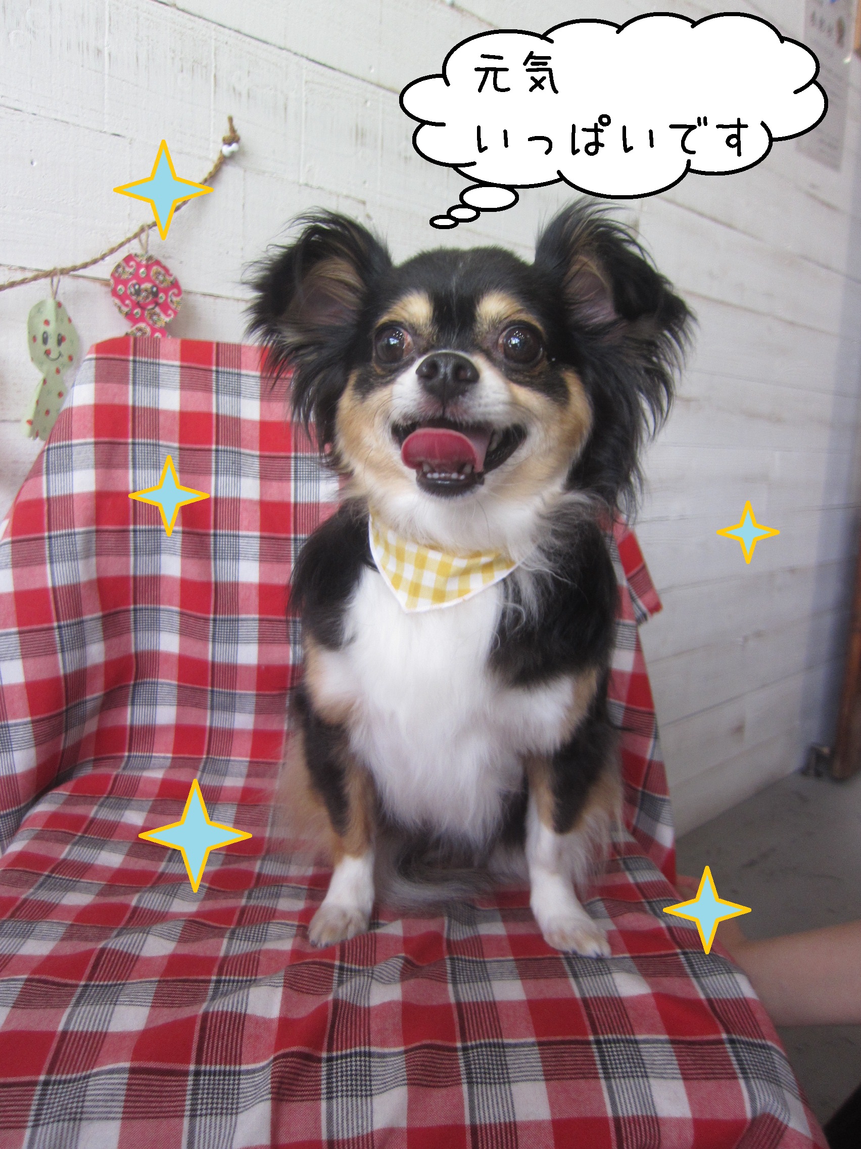 仕上がりミックス