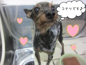 シャンプーミックス