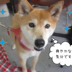 仕上がりミックス