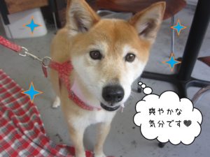 仕上がりミックス